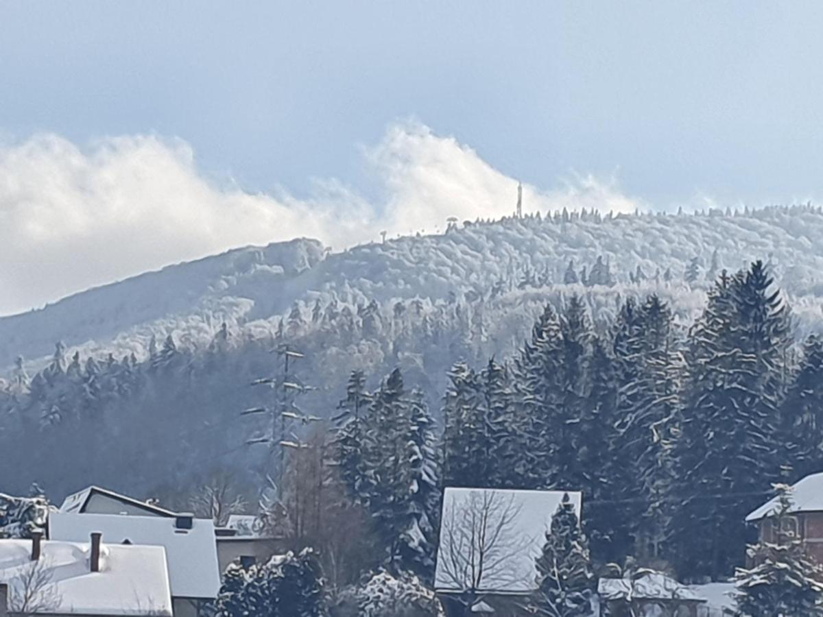 Domek Pod Krolowem Ustroń Esterno foto
